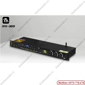 Vang PS Audio RX300